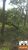 Fazenda-Sítio-Chácara, 42 hectares - Foto 4