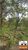 Fazenda-Sítio-Chácara, 42 hectares - Foto 3