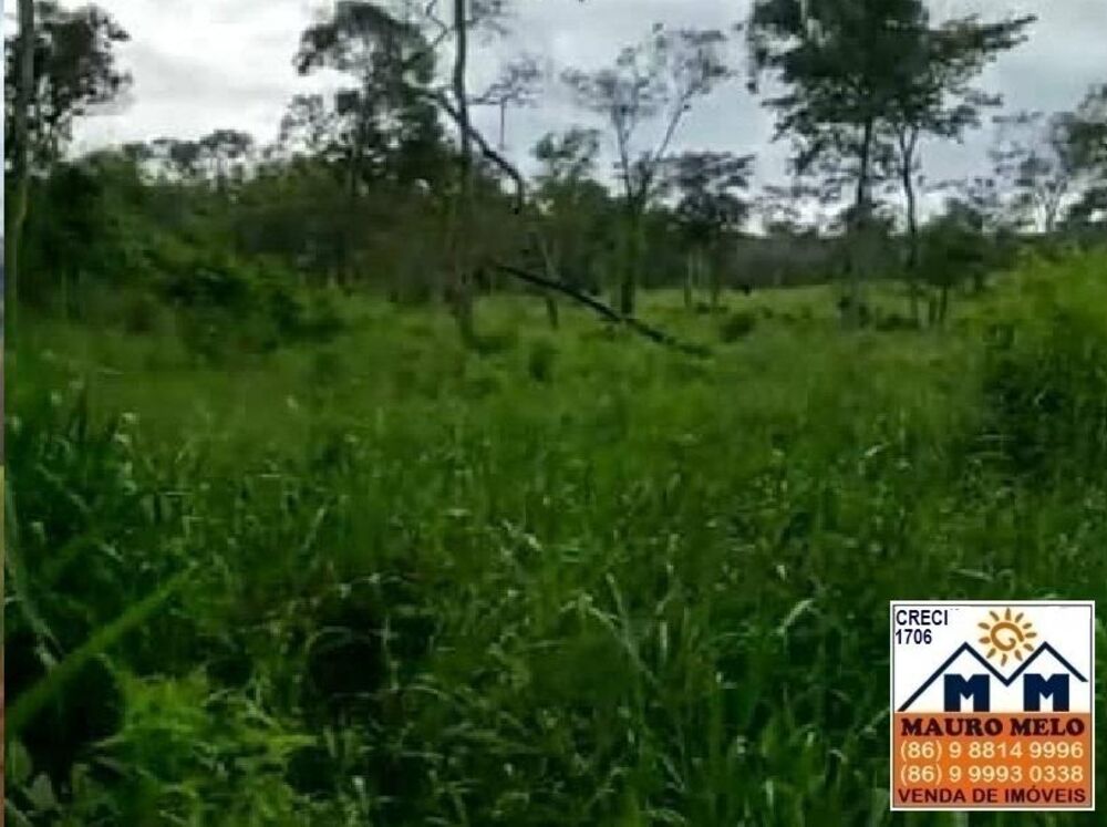 Fazenda, 15 hectares - Foto 3