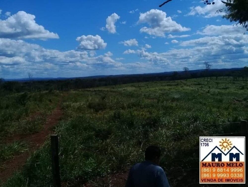 Fazenda, 15 hectares - Foto 2