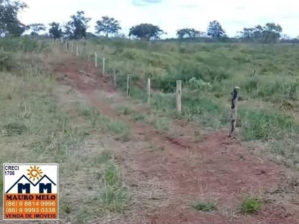 Fazenda, 15 hectares - Foto 4