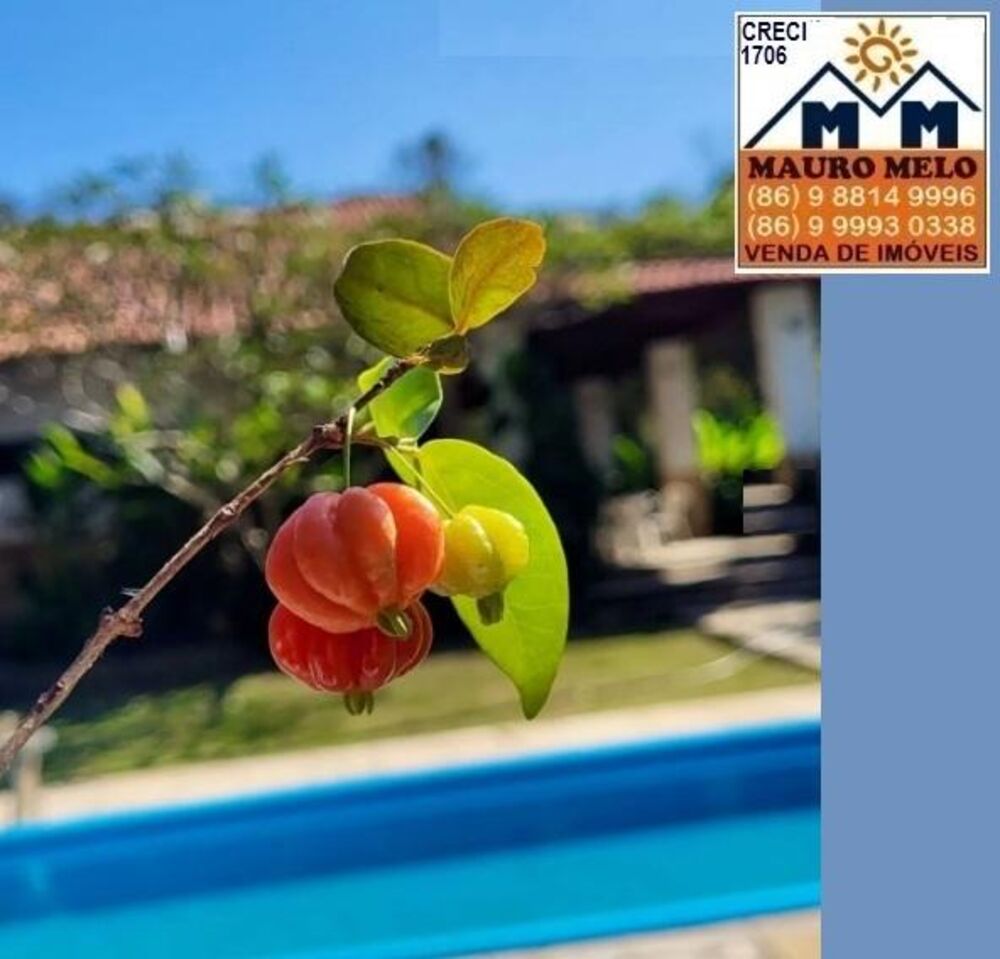 Sítio, 4 hectares - Foto 3