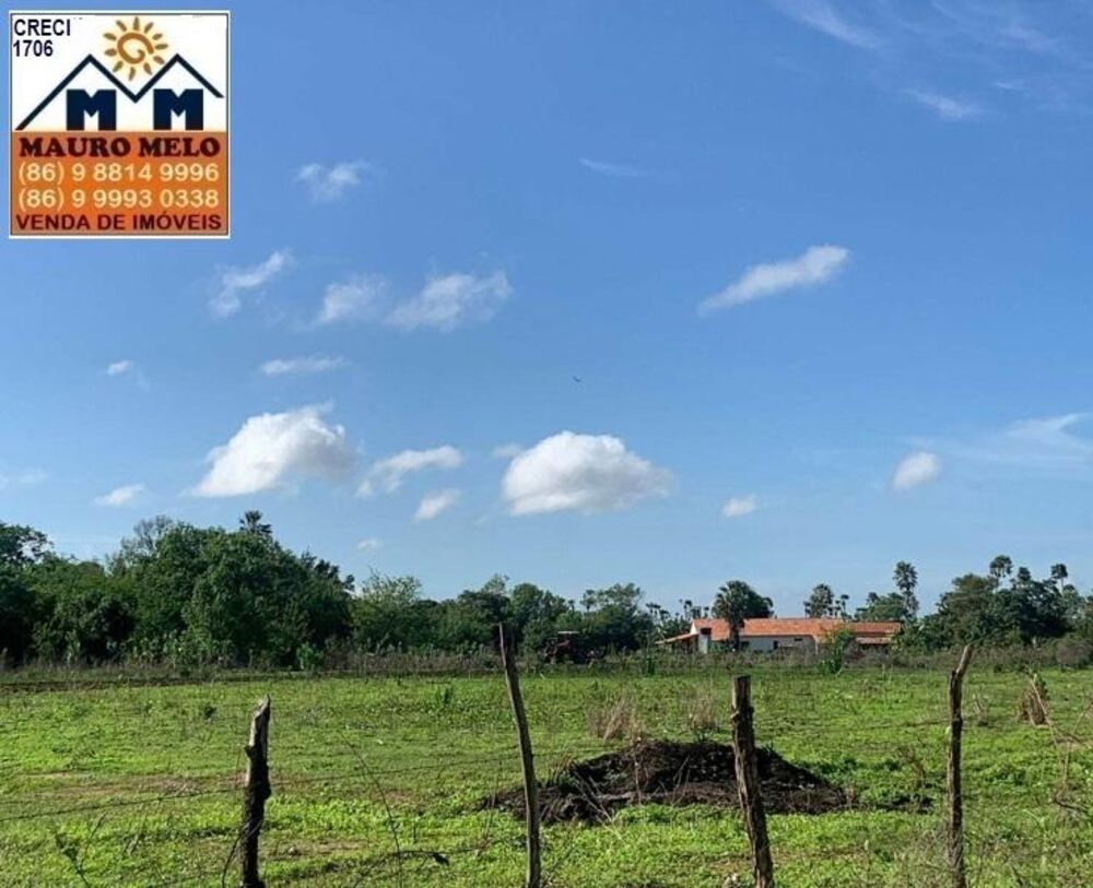 Fazenda, 810 hectares - Foto 1