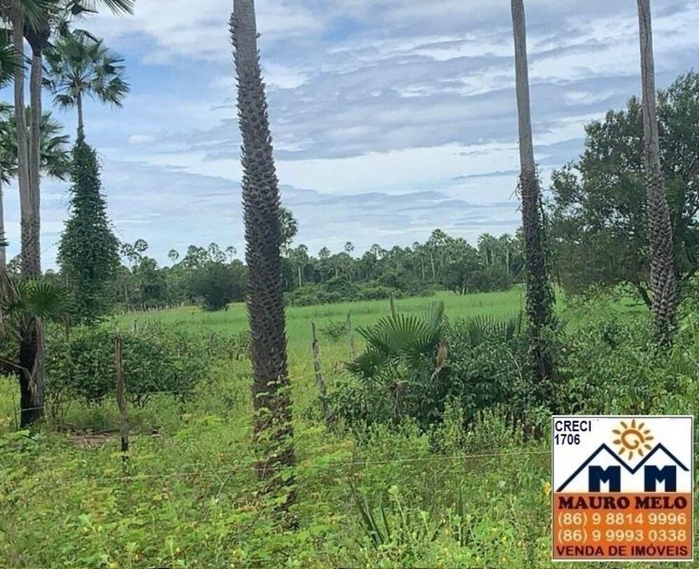 Fazenda, 810 hectares - Foto 2