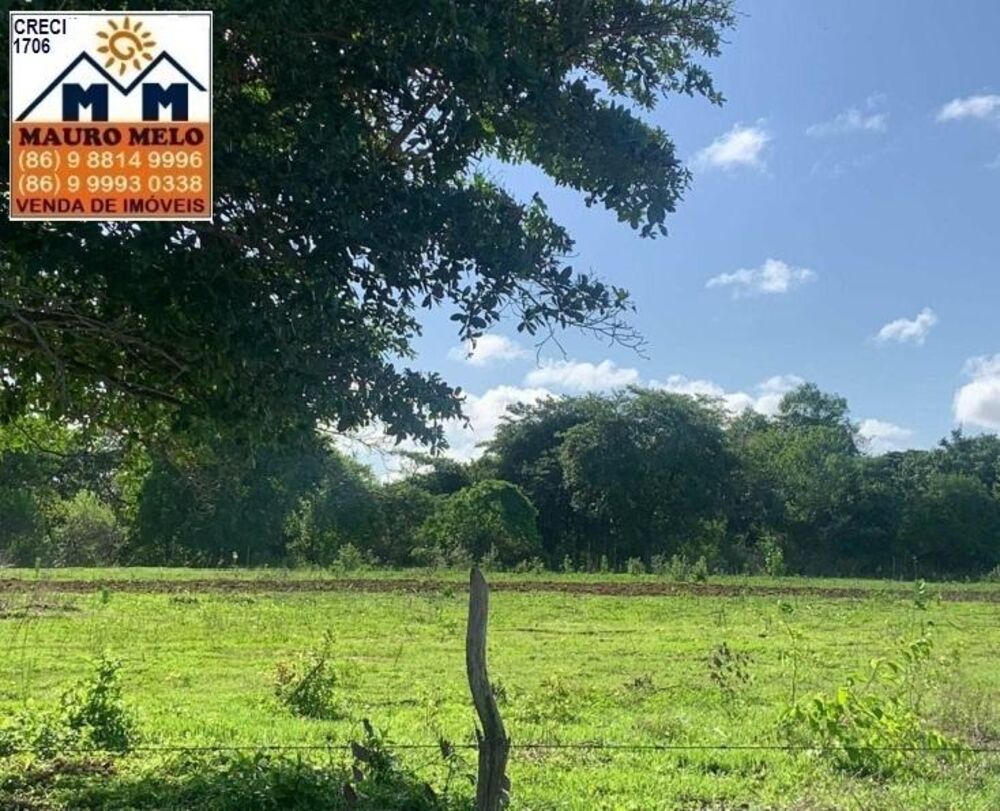 Fazenda, 810 hectares - Foto 3