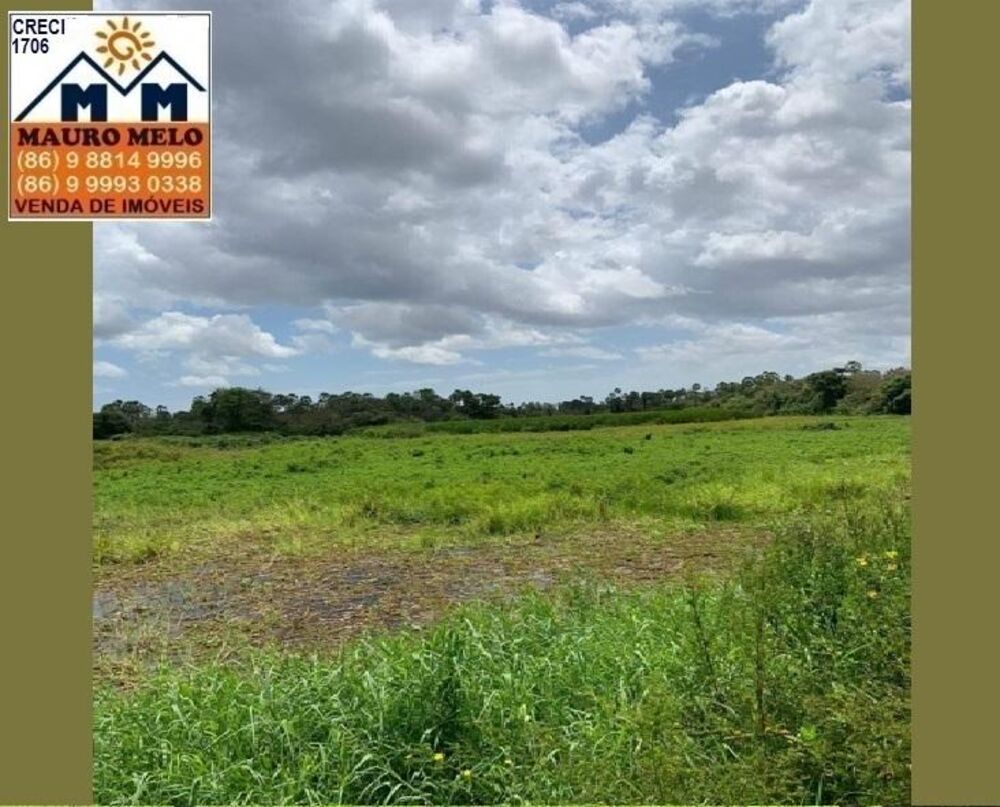 Fazenda, 810 hectares - Foto 4