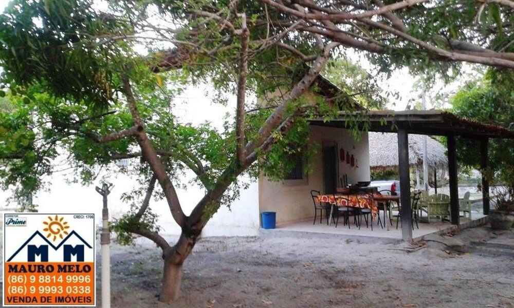 Sítio, 2 quartos, 5000 m² - Foto 2