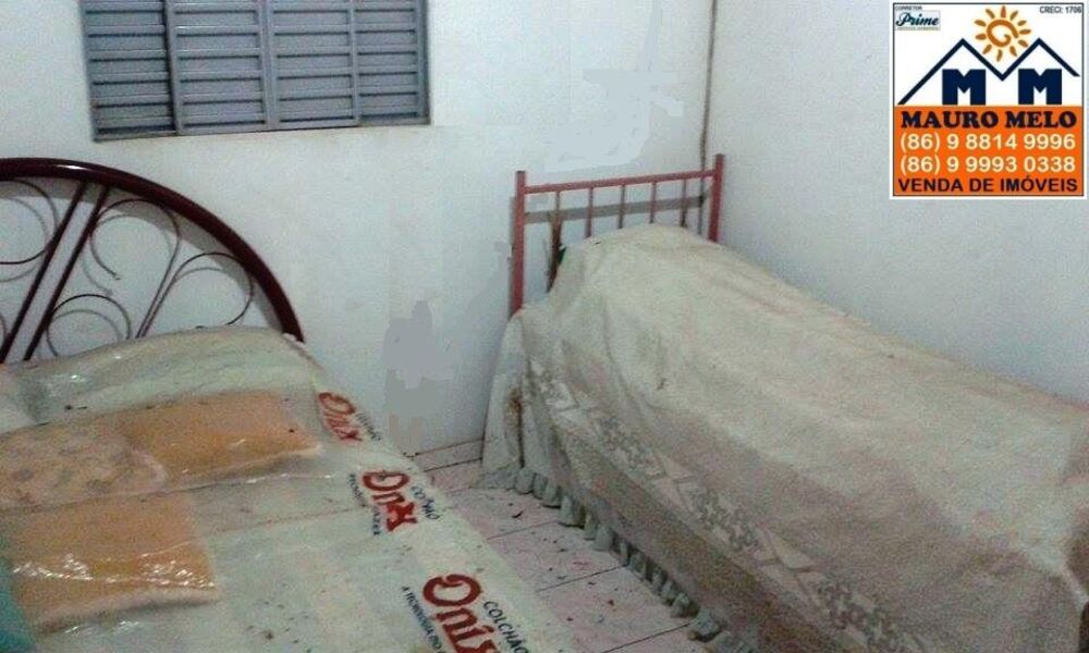 Sítio, 2 quartos, 5000 m² - Foto 3