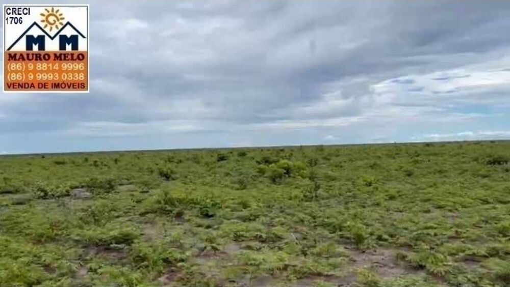 Fazenda à venda, 423500m² - Foto 6