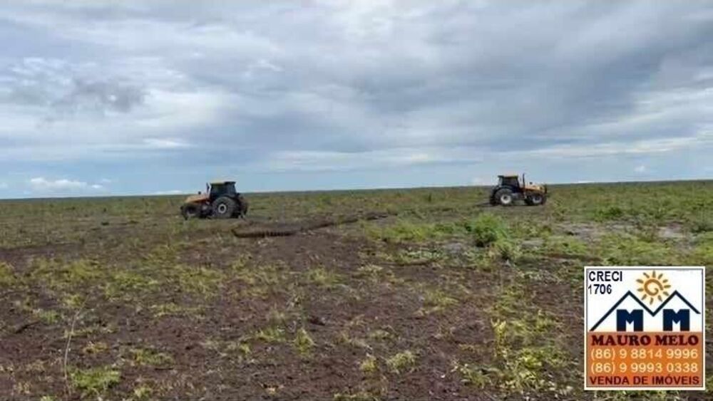 Fazenda à venda, 423500m² - Foto 3