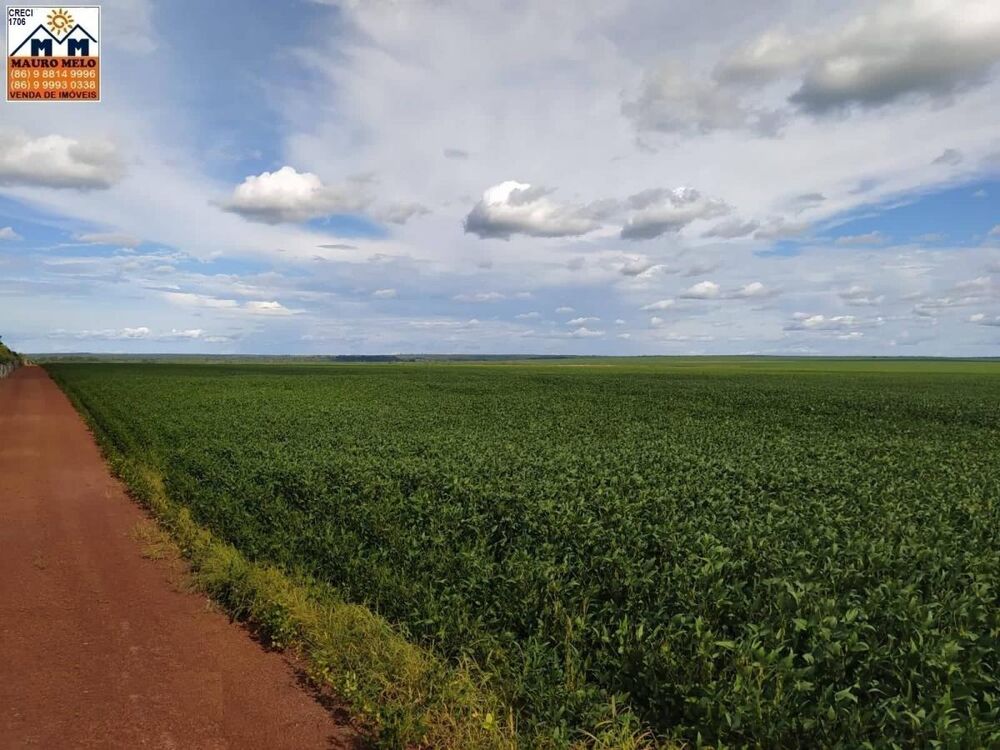 Fazenda, 570 hectares - Foto 2