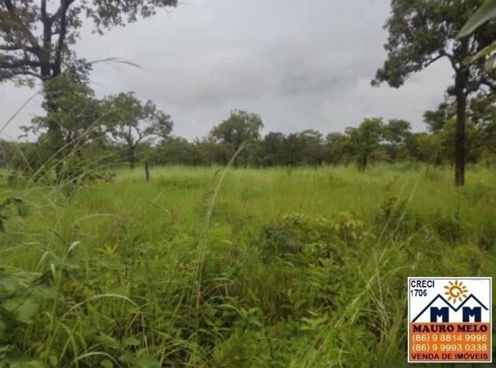 Fazenda, 570 hectares - Foto 1