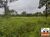 Fazenda-Sítio-Chácara, 570 hectares - Foto 1