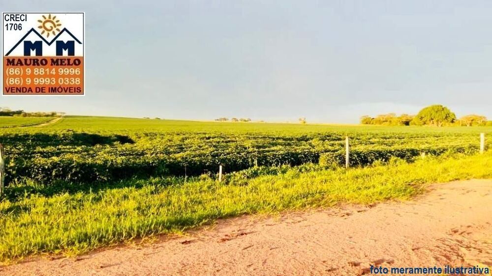 Fazenda, 557 hectares - Foto 1
