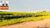Fazenda-Sítio-Chácara, 557 hectares - Foto 1