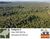 Fazenda-Sítio-Chácara, 157 hectares - Foto 1