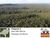 Fazenda-Sítio-Chácara, 157 hectares - Foto 2