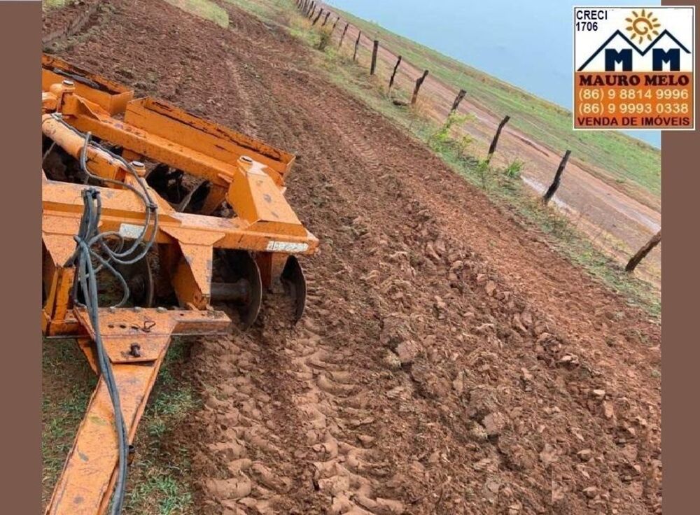 Fazenda, 70 hectares - Foto 4