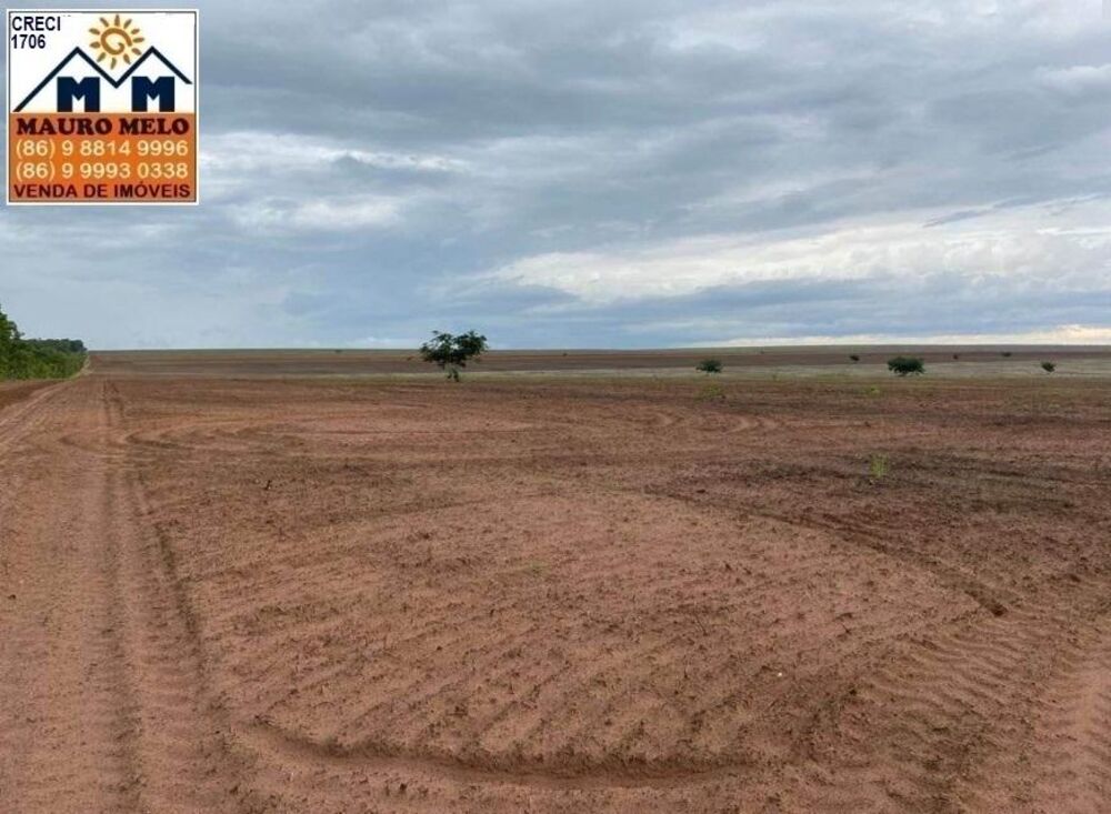 Fazenda, 70 hectares - Foto 3