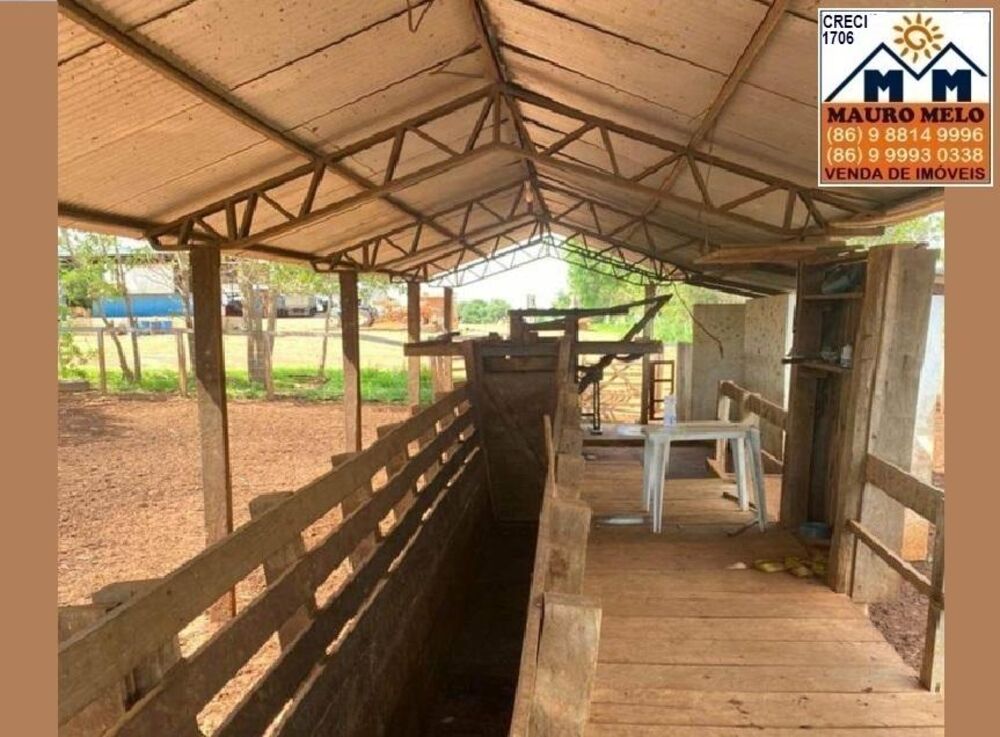 Fazenda, 70 hectares - Foto 5