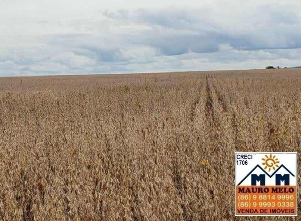 Fazenda, 570 hectares - Foto 3