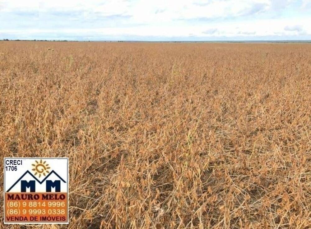 Fazenda, 570 hectares - Foto 4