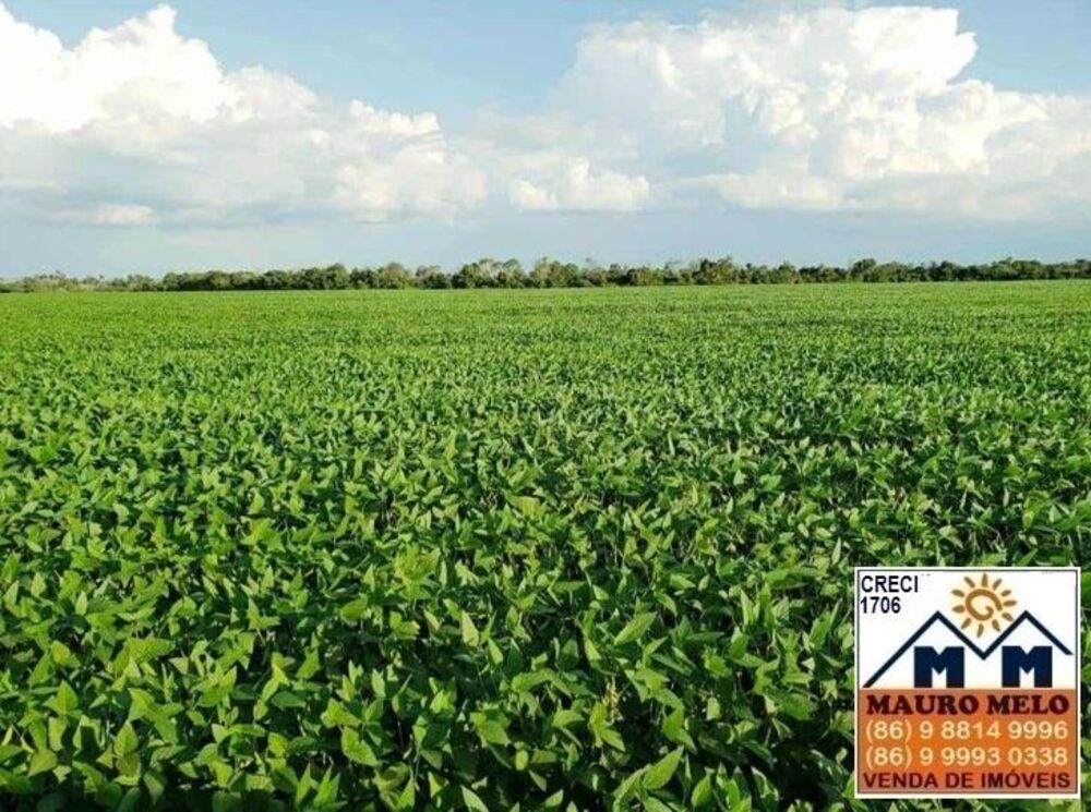 Fazenda, 570 hectares - Foto 2