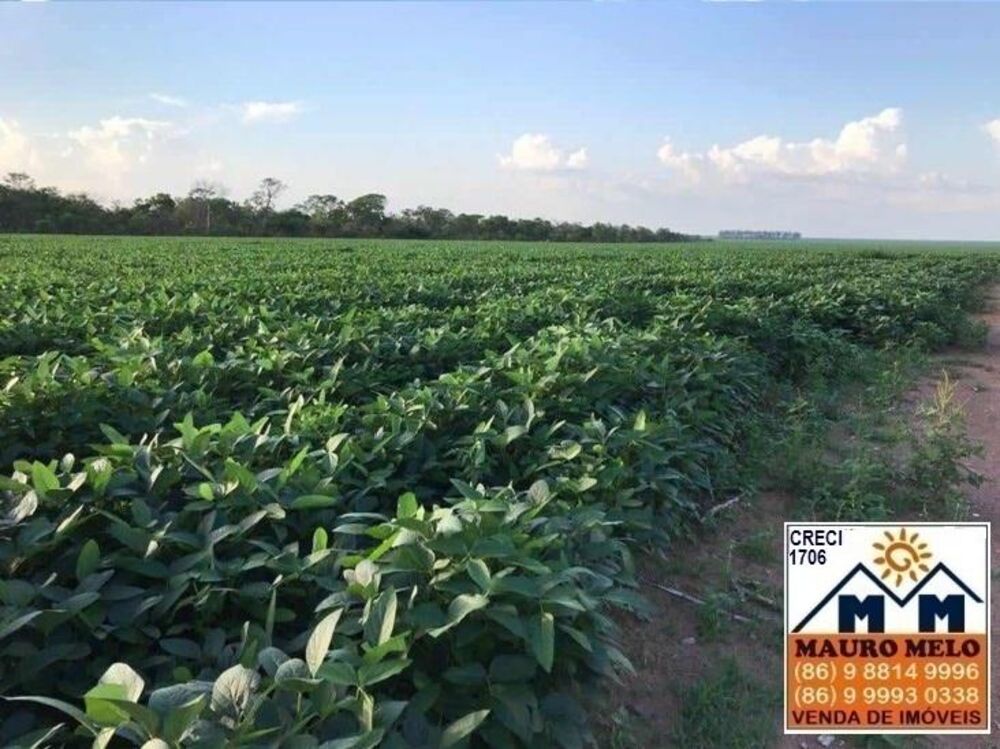 Fazenda, 570 hectares - Foto 1