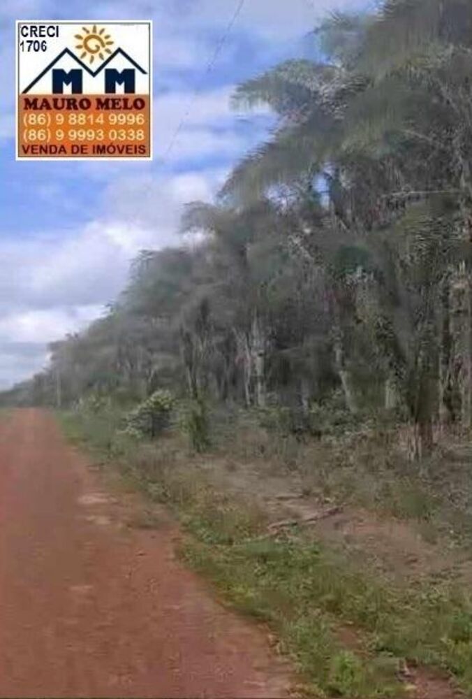 Fazenda à venda, 1479000m² - Foto 2