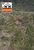 Fazenda-Sítio-Chácara, 148 hectares - Foto 4