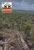 Fazenda-Sítio-Chácara, 148 hectares - Foto 3