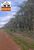 Fazenda-Sítio-Chácara, 148 hectares - Foto 2