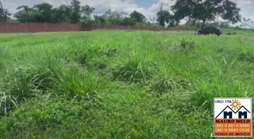 Terreno, 450 m² - Foto 6