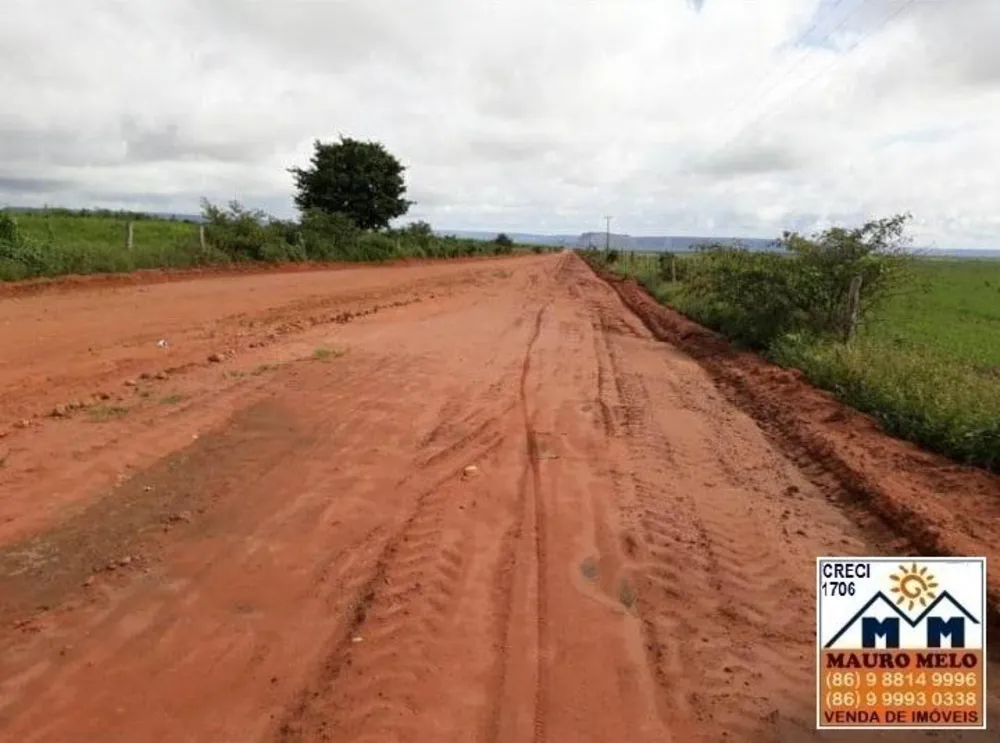 Fazenda, 89 hectares - Foto 6