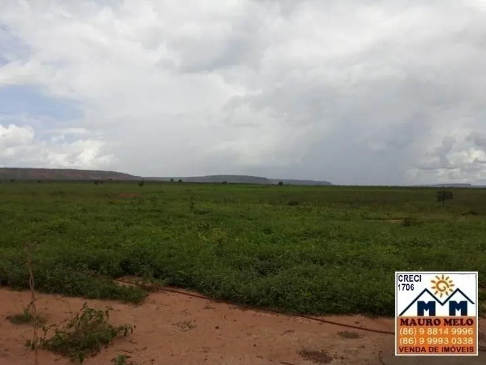 Fazenda, 89 hectares - Foto 11