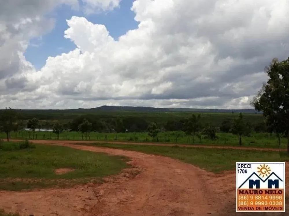 Fazenda, 89 hectares - Foto 8