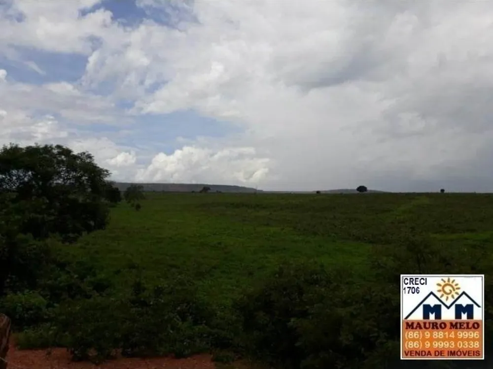 Fazenda, 89 hectares - Foto 10