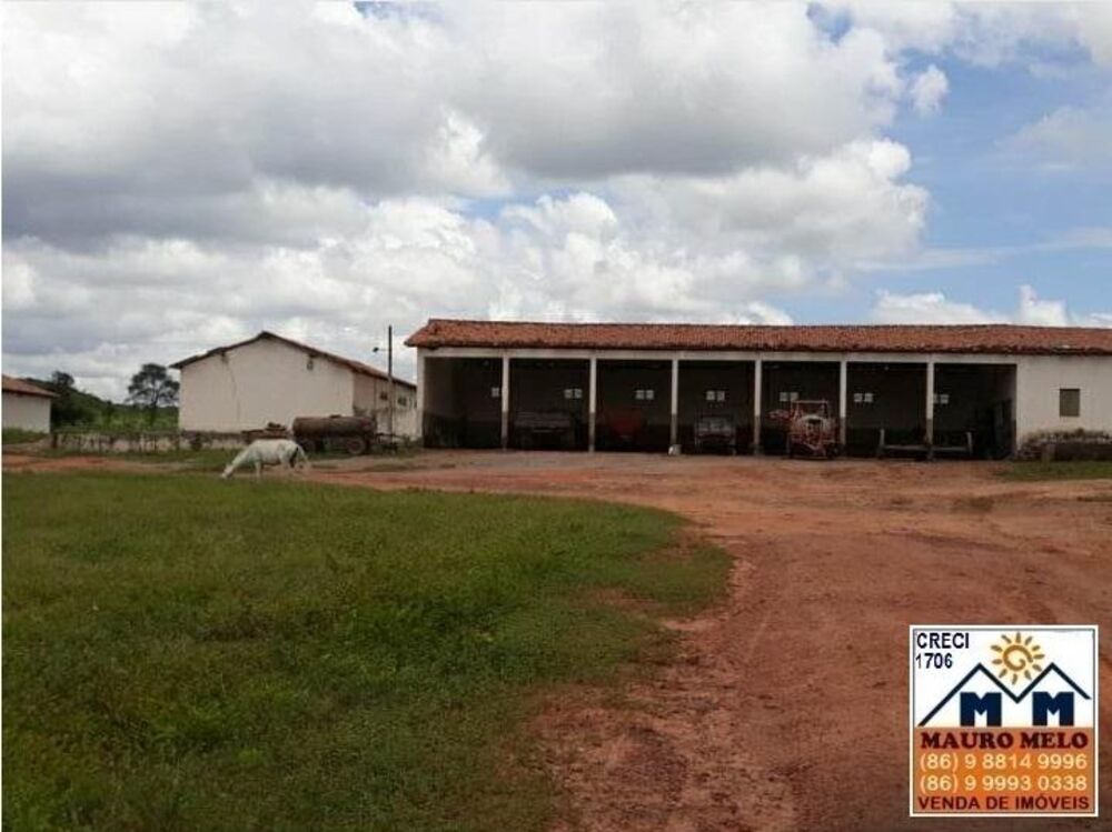 Fazenda à venda, 893000m² - Foto 3