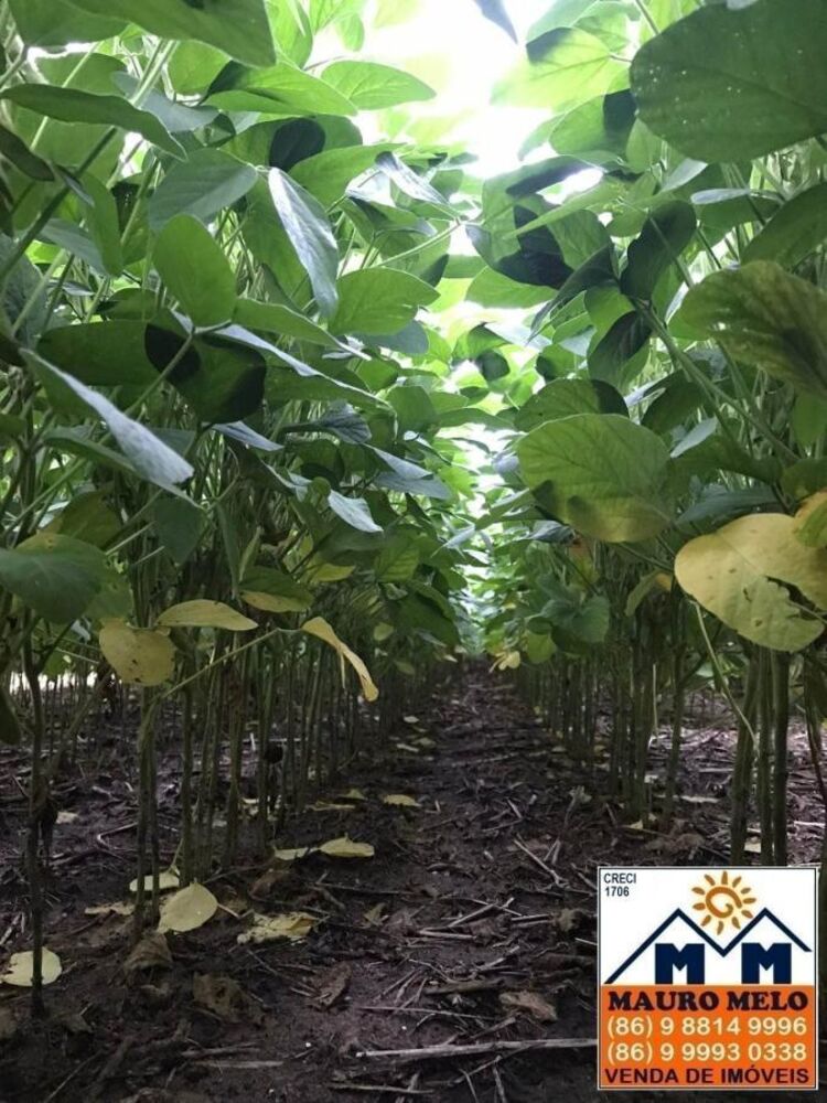 Fazenda à venda, 2680000m² - Foto 3