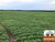 Fazenda-Sítio-Chácara, 268 hectares - Foto 1