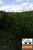 Fazenda, 21 hectares - Foto 8