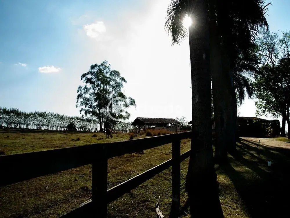 Sítio, 6 quartos, 5 hectares - Foto 1