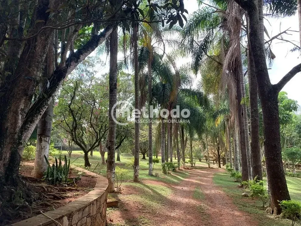 Chácara, 4 quartos, 2 hectares - Foto 4