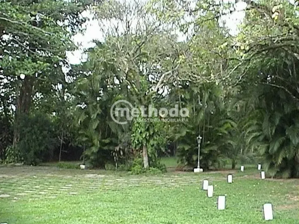 Terreno, 10000 m² - Foto 1