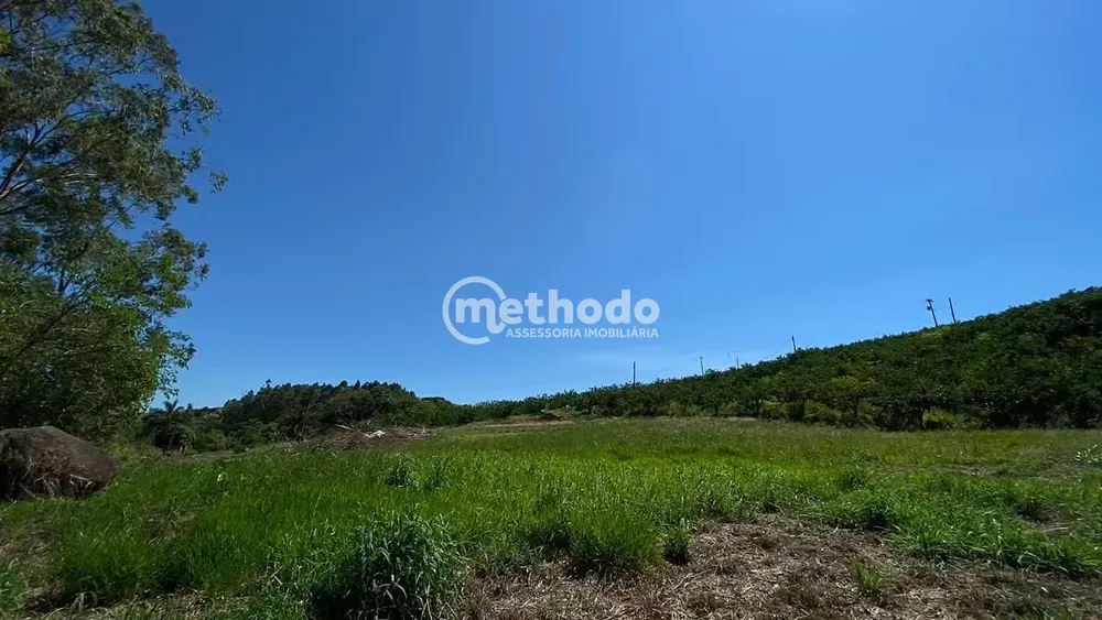 Terreno, 6 hectares - Foto 4