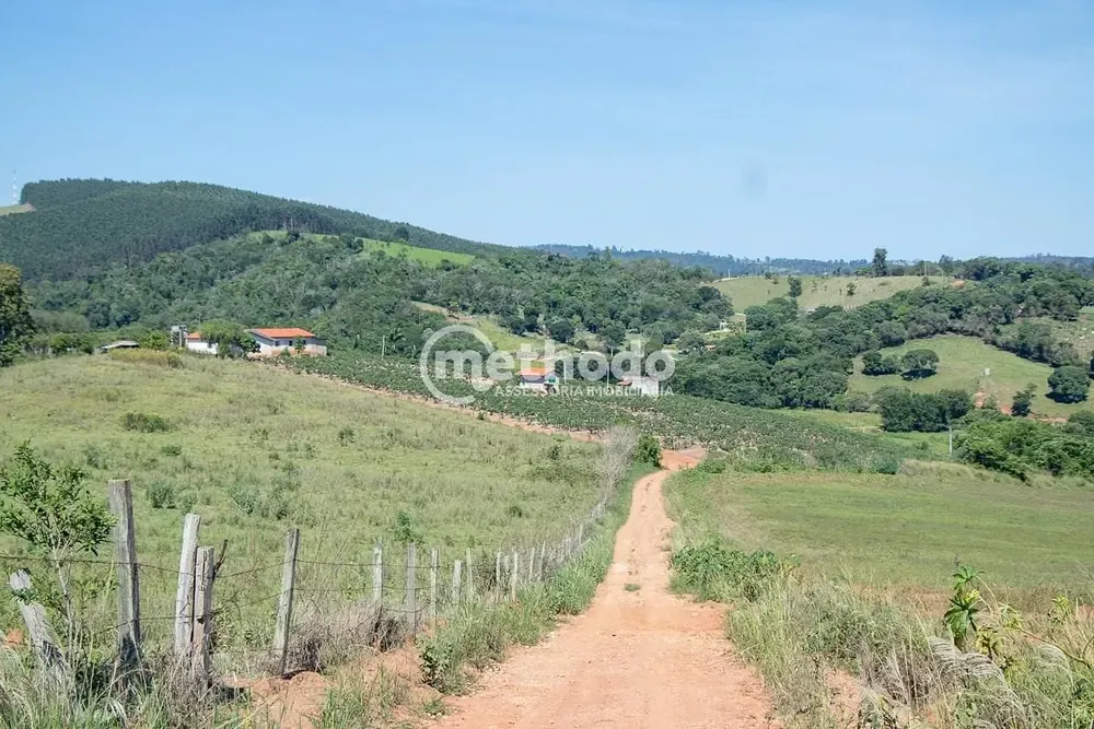 Terreno, 6 hectares - Foto 1