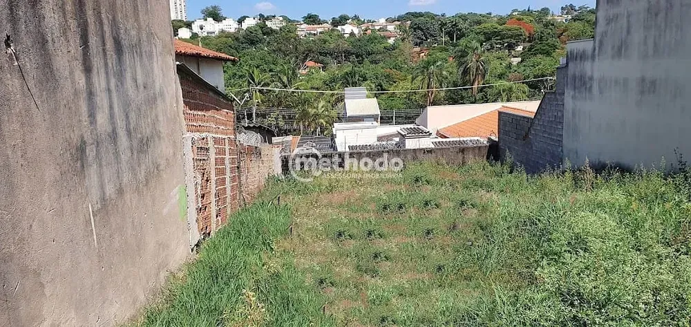 Terreno, 250 m² - Foto 3