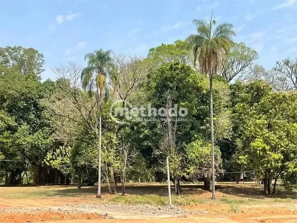 Terreno, 300 m² - Foto 3