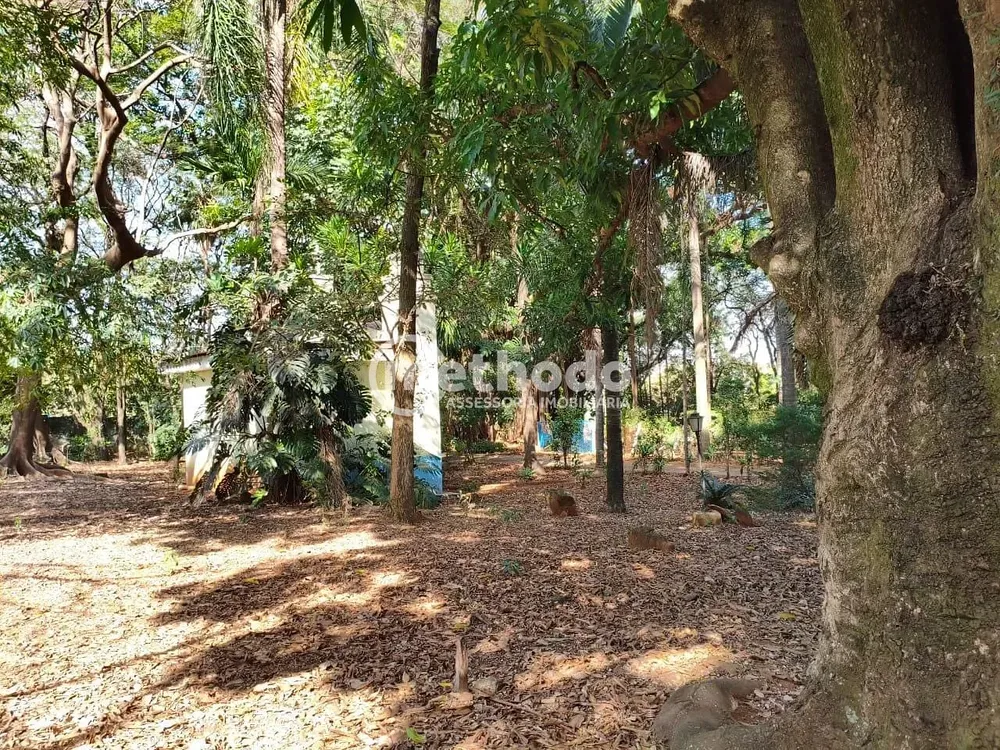Terreno, 3 hectares - Foto 1
