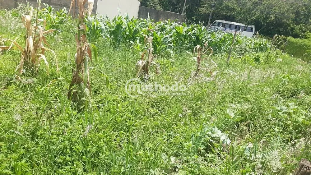 Terreno, 1000 m² - Foto 4